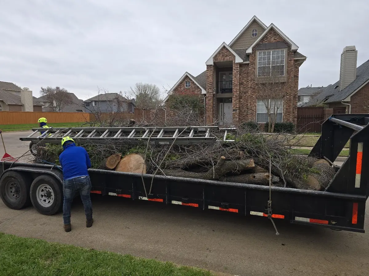 Expert Crown Reduction with proper safety equipment in Saxtons River